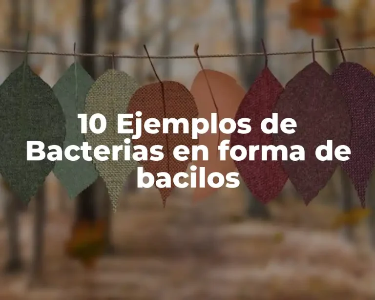 10 Ejemplos de Bacterias en forma de bacilos
