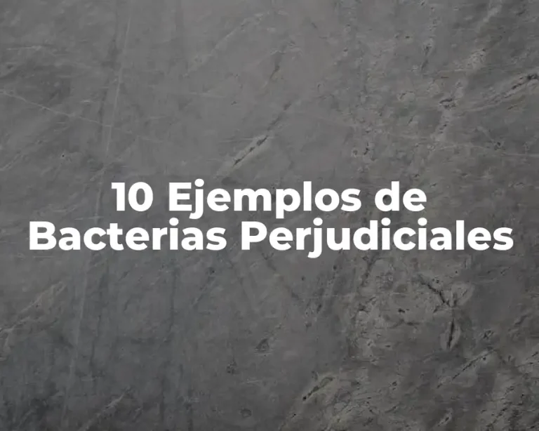 10 Ejemplos de Bacterias Perjudiciales