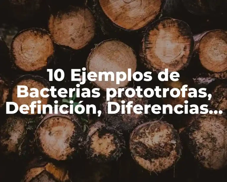 10 Ejemplos de Bacterias prototrofas, Definición, Diferencias y para que sirve