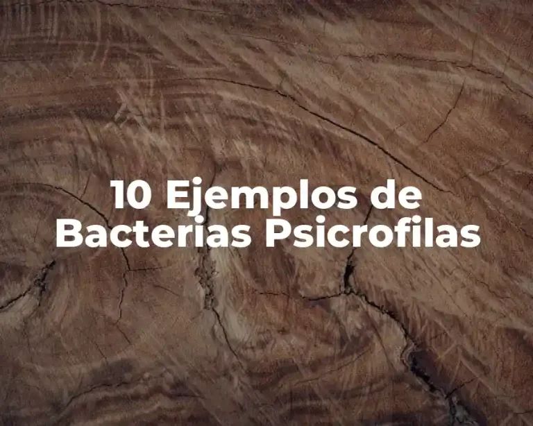 10 Ejemplos de Bacterias Psicrofilas