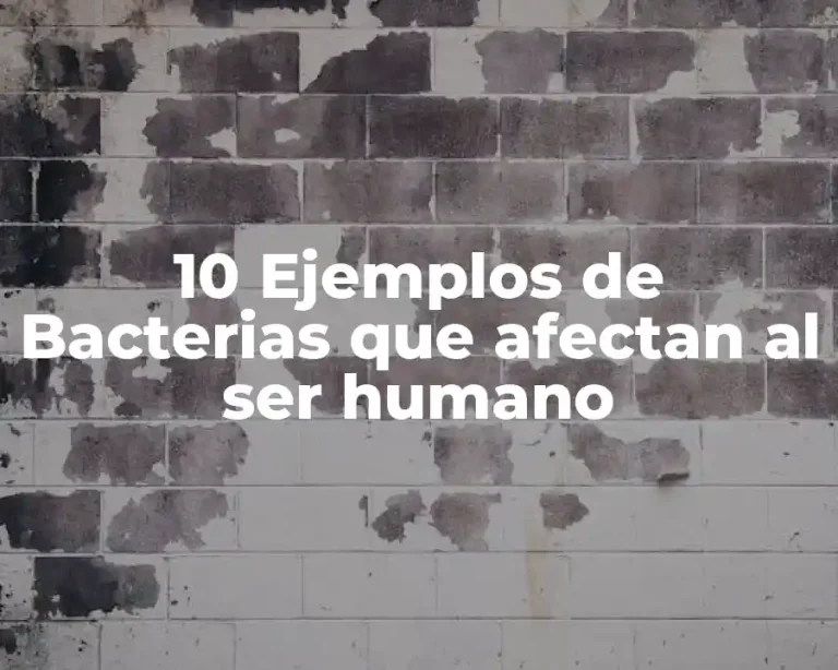 10 Ejemplos de Bacterias que afectan al ser humano