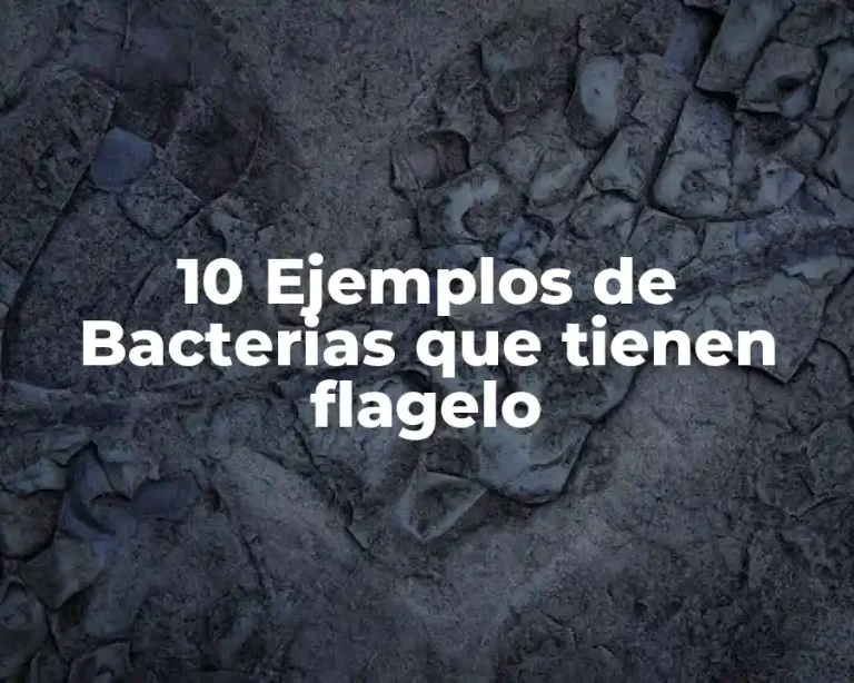 10 Ejemplos de Bacterias que tienen flagelo