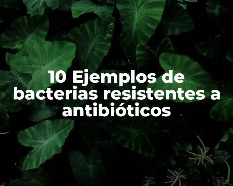 10 Ejemplos de bacterias resistentes a antibióticos