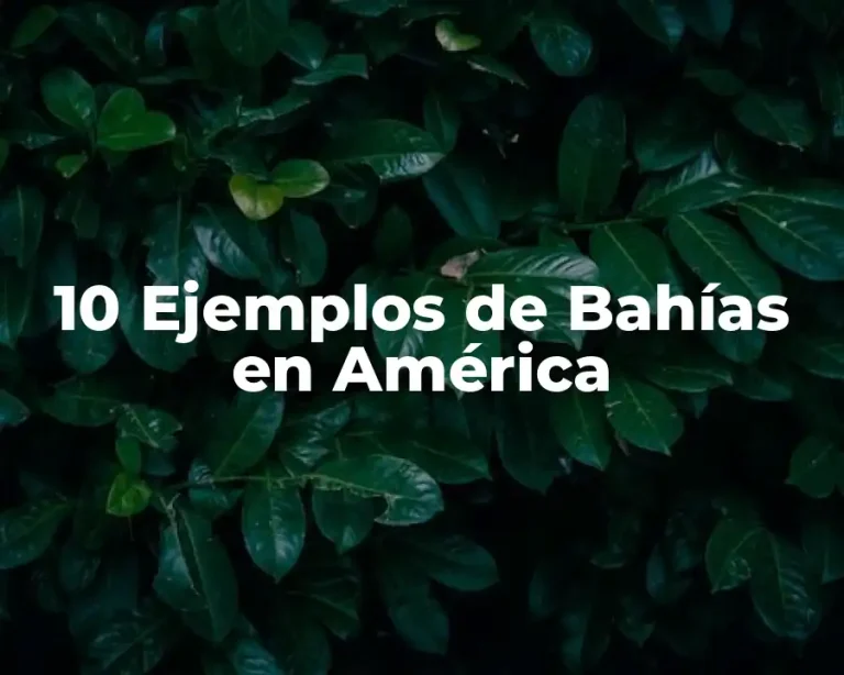 10 Ejemplos de Bahías en América