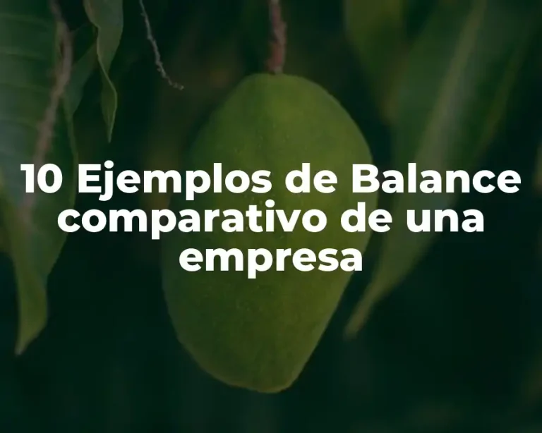 10 Ejemplos de Balance comparativo de una empresa