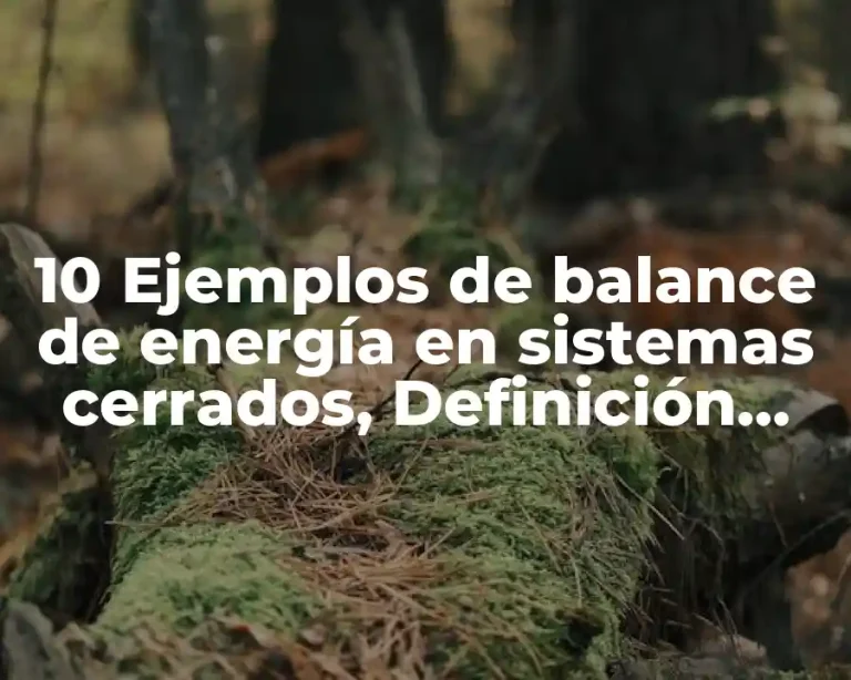 10 Ejemplos de balance de energía en sistemas cerrados, Definición, Diferencias y para que sirve