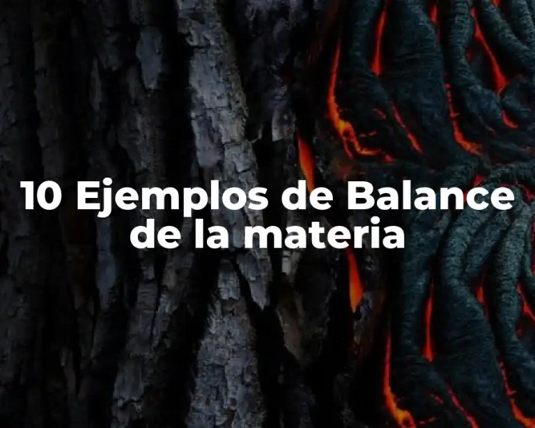 10 Ejemplos de Balance de la materia