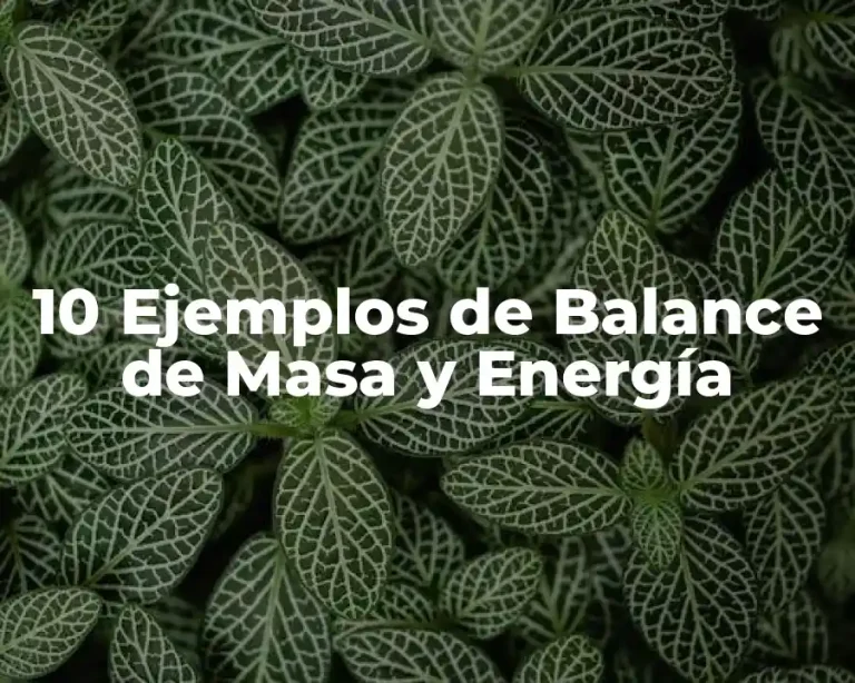 10 Ejemplos de Balance de Masa y Energía
