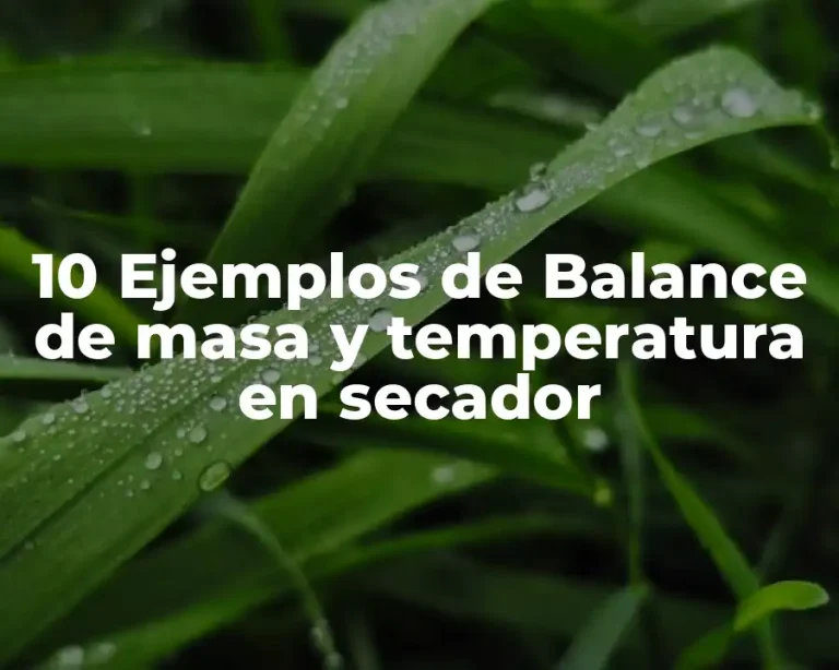10 Ejemplos de Balance de masa y temperatura en secador
