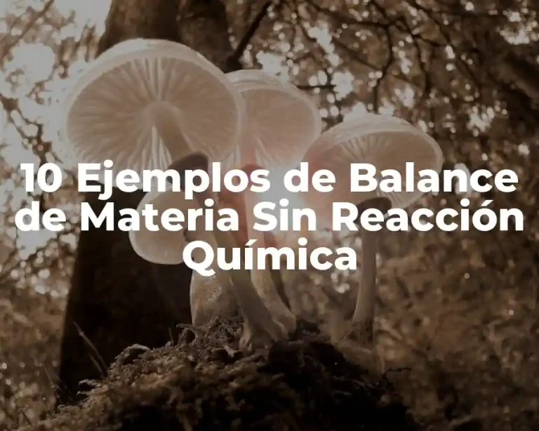 10 Ejemplos de Balance de Materia Sin Reacción Química