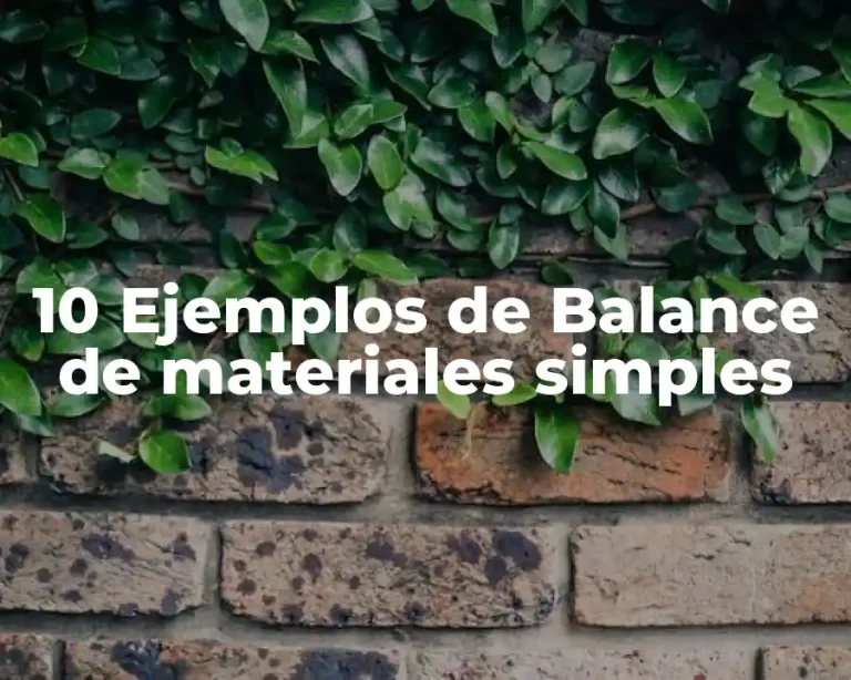 10 Ejemplos de Balance de materiales simples
