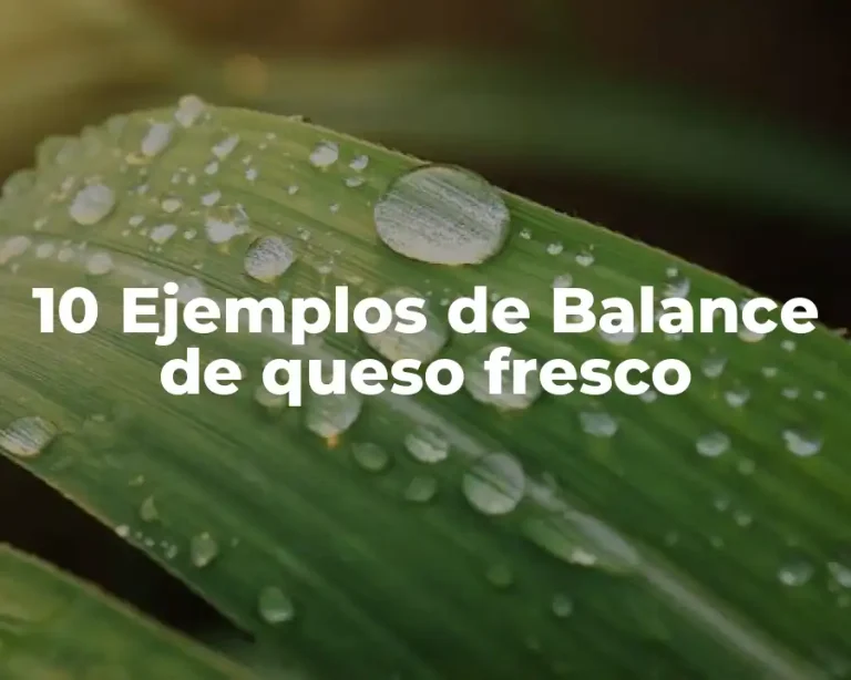 10 Ejemplos de Balance de queso fresco