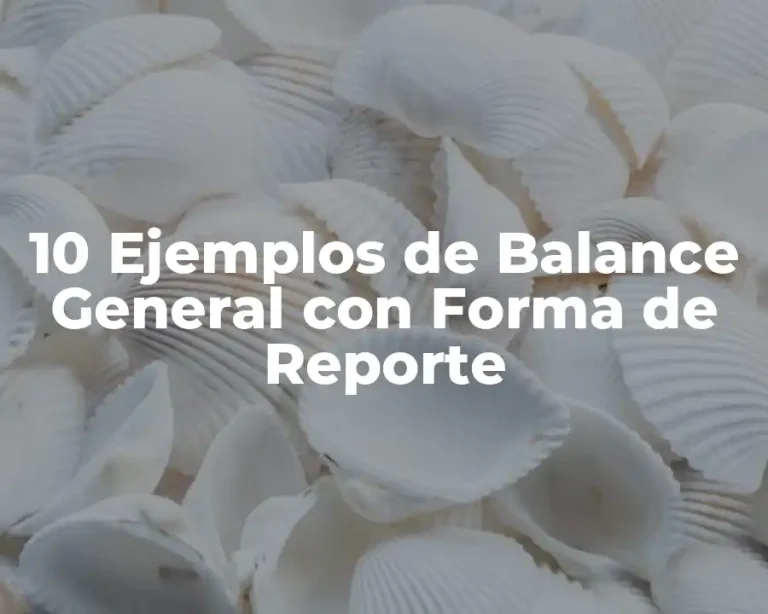 10 Ejemplos de Balance General con Forma de Reporte