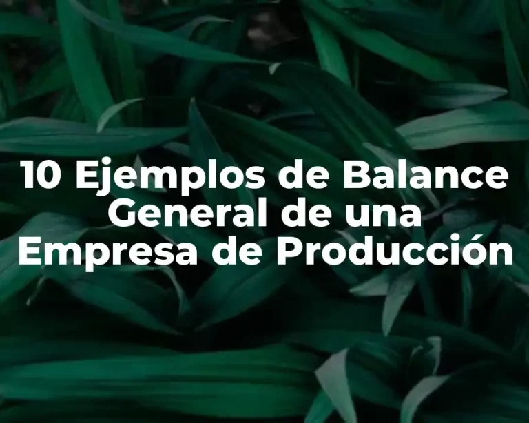 10 Ejemplos de Balance General de una Empresa de Producción