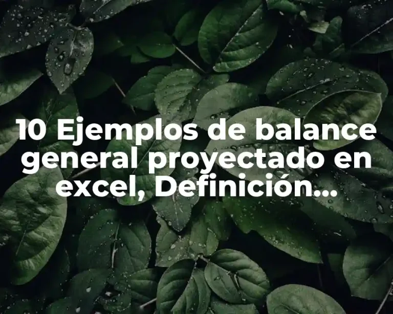 10 Ejemplos de balance general proyectado en excel, Definición, Diferencias y para que sirve