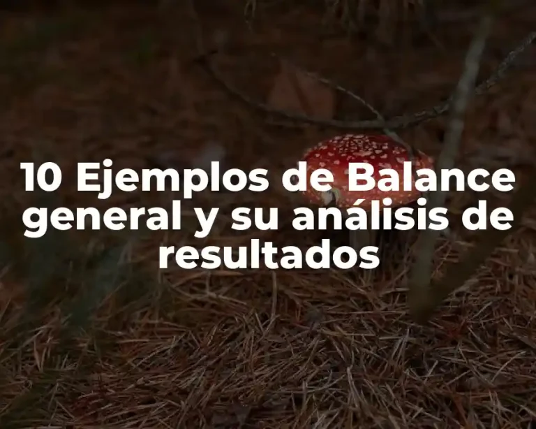 10 Ejemplos de Balance general y su análisis de resultados