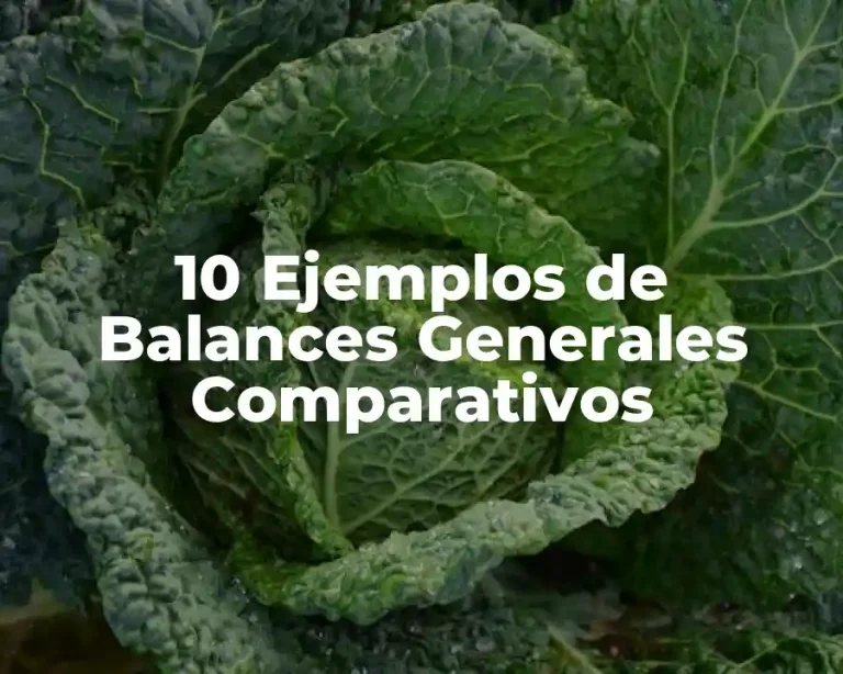 10 Ejemplos de Balances Generales Comparativos