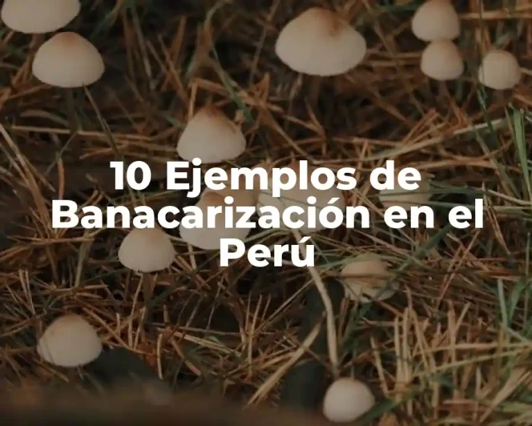 10 Ejemplos de Banacarización en el Perú