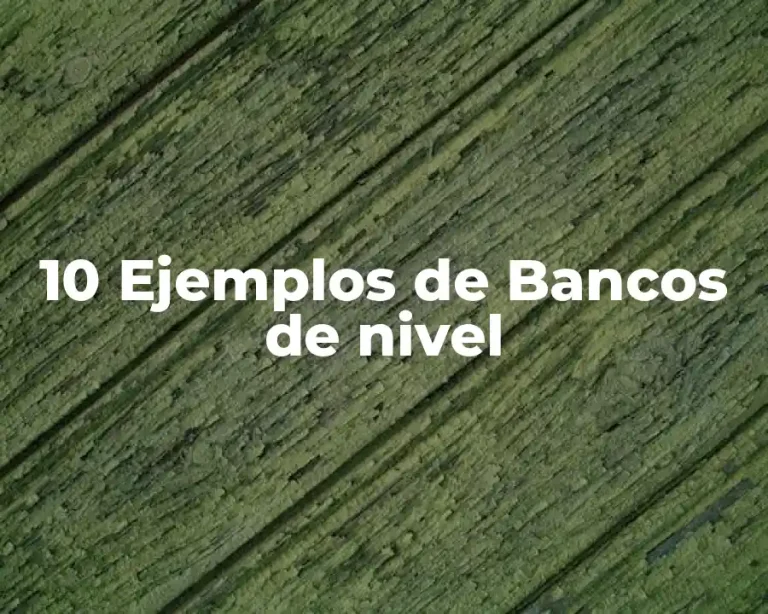 10 Ejemplos de Bancos de nivel
