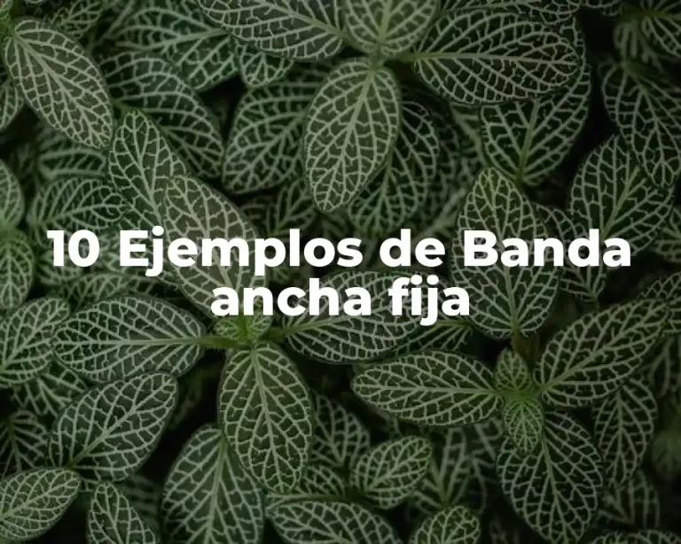 10 Ejemplos de Banda ancha fija