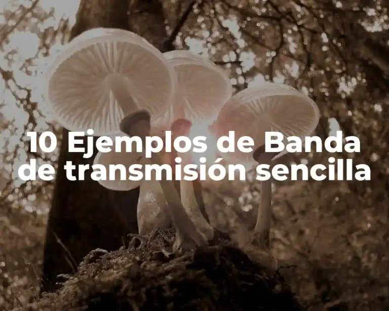 10 Ejemplos de Banda de transmisión sencilla