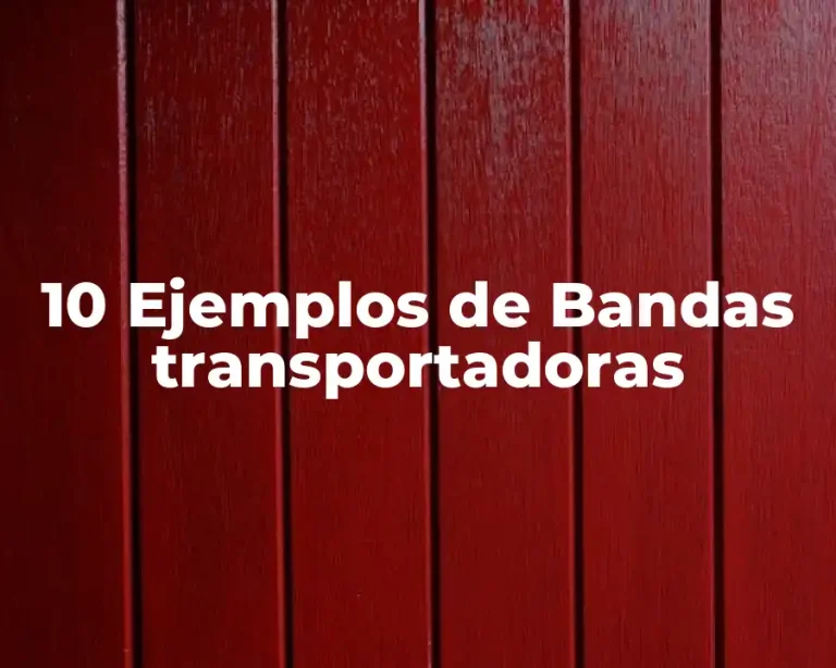 10 Ejemplos de Bandas transportadoras