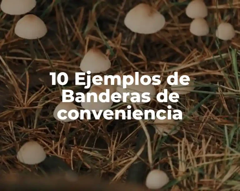 10 Ejemplos de Banderas de conveniencia