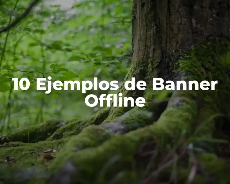 10 Ejemplos de Banner Offline