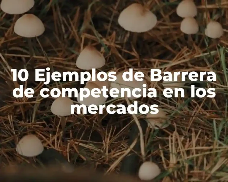 10 Ejemplos de Barrera de competencia en los mercados
