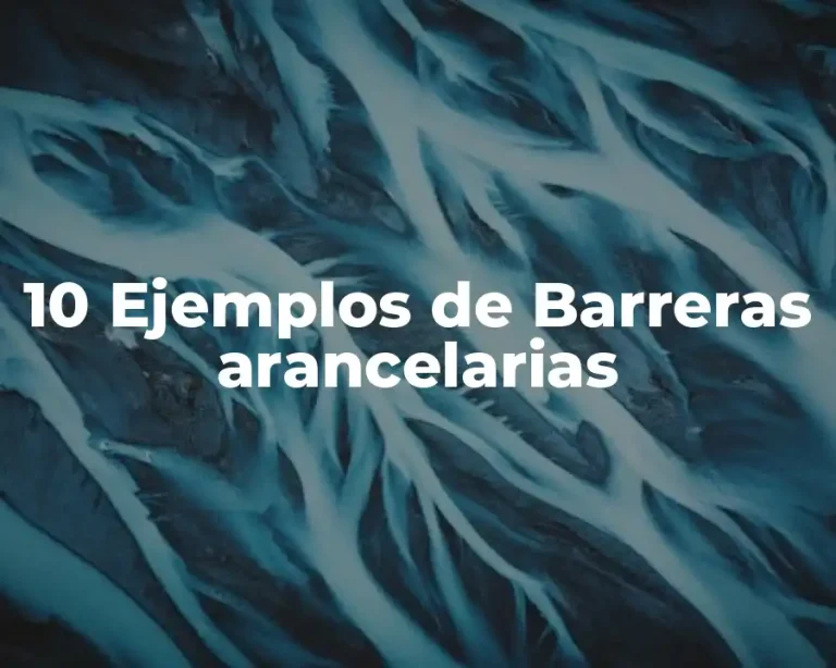 10 Ejemplos de Barreras arancelarias
