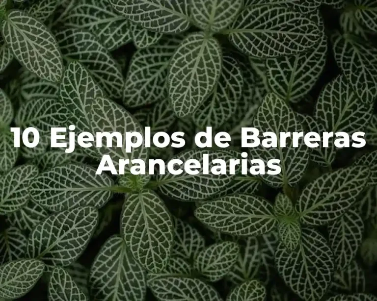 10 Ejemplos de Barreras Arancelarias