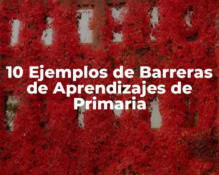 10 Ejemplos de Barreras de Aprendizajes de Primaria