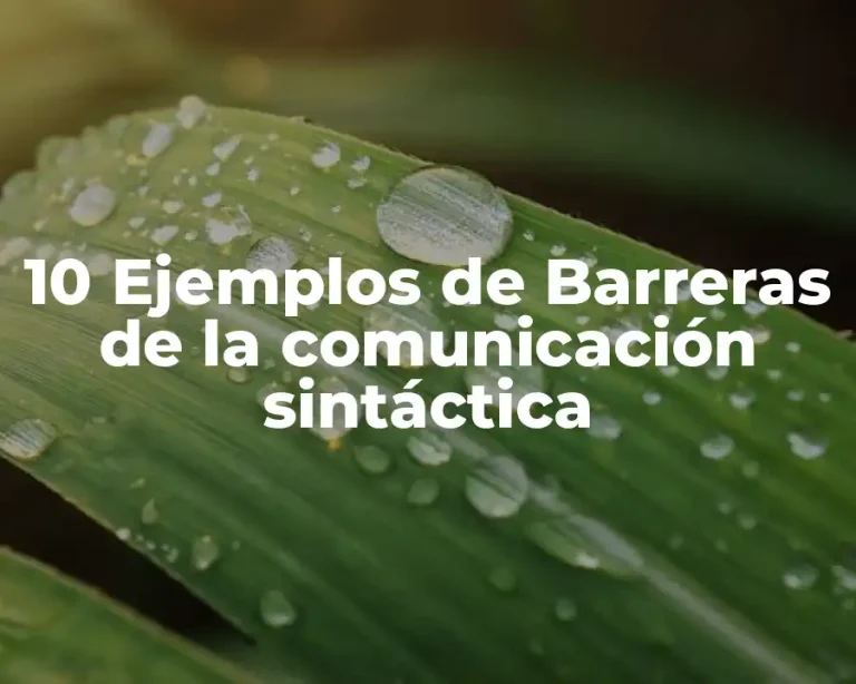 10 Ejemplos de Barreras de la comunicación sintáctica