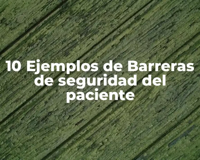 10 Ejemplos de Barreras de seguridad del paciente