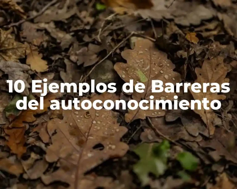 10 Ejemplos de Barreras del autoconocimiento