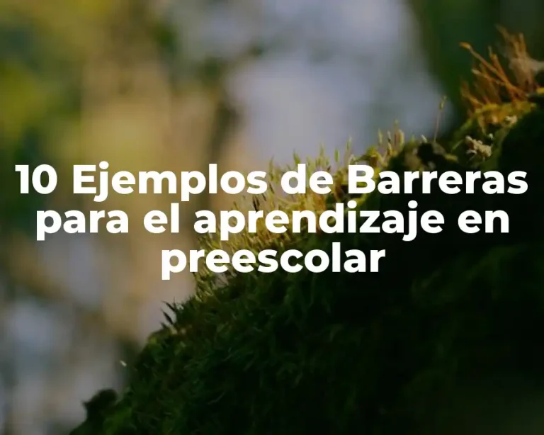 10 Ejemplos de Barreras para el aprendizaje en preescolar