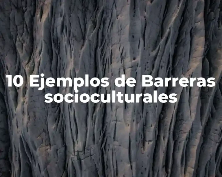 10 Ejemplos de Barreras socioculturales