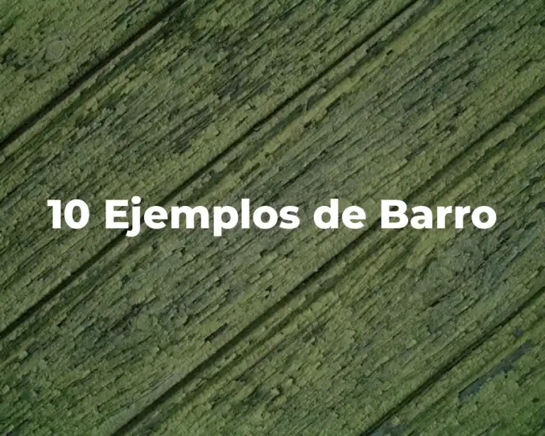 10 Ejemplos de Barro