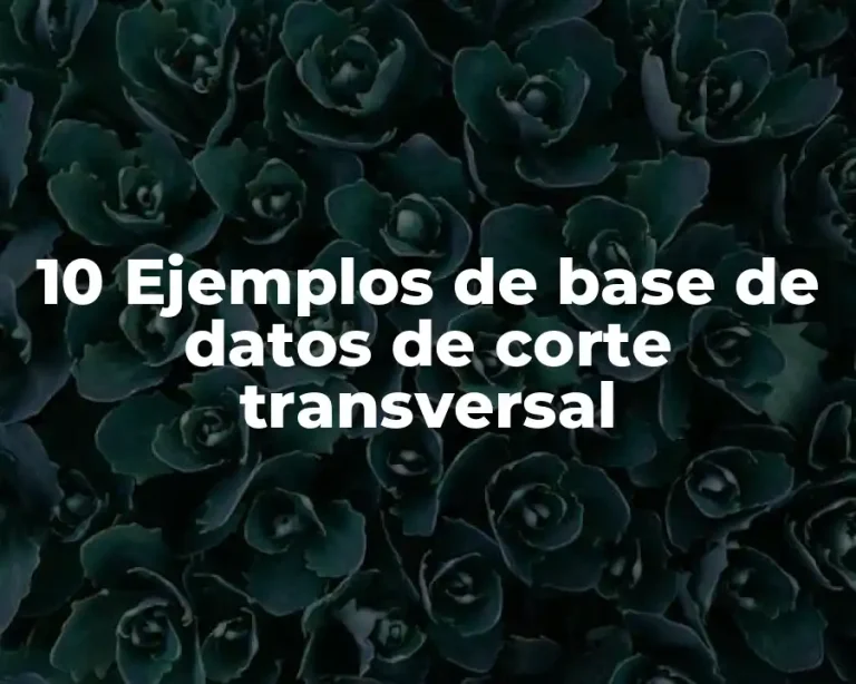 10 Ejemplos de base de datos de corte transversal