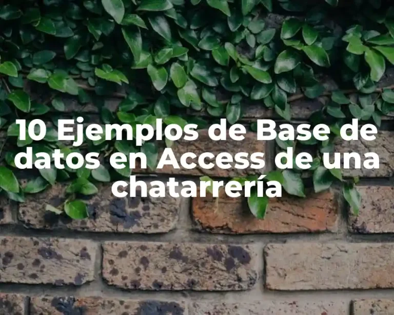 10 Ejemplos de Base de datos en Access de una chatarrería
