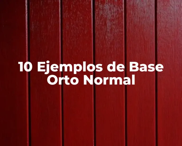 10 Ejemplos de Base Orto Normal