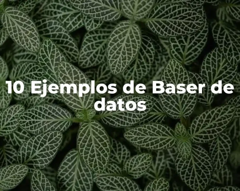 10 Ejemplos de Baser de datos