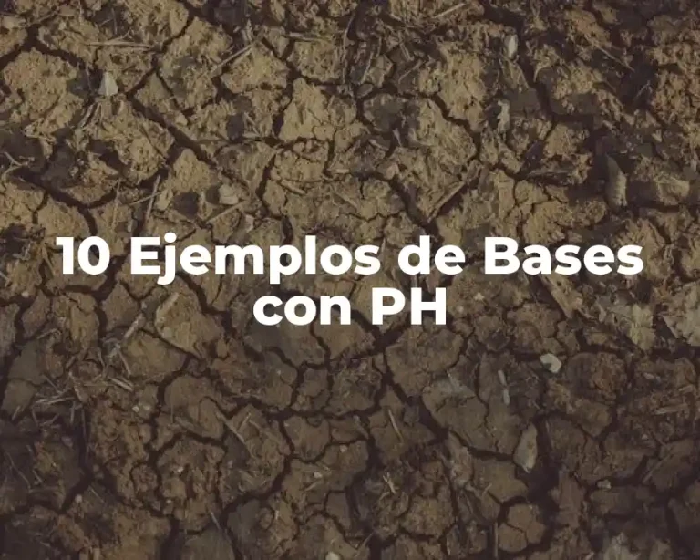 10 Ejemplos de Bases con PH