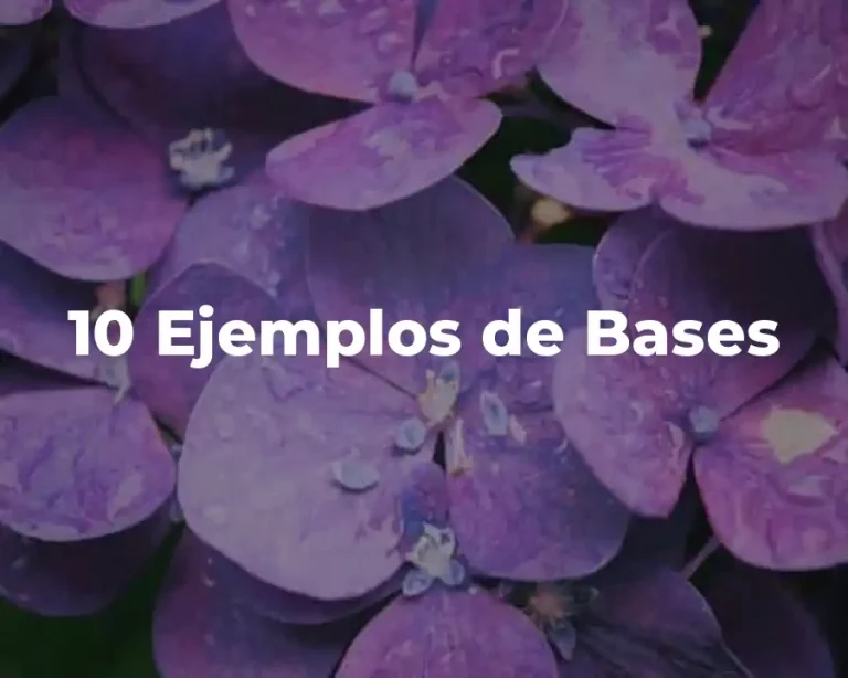 10 Ejemplos de Bases