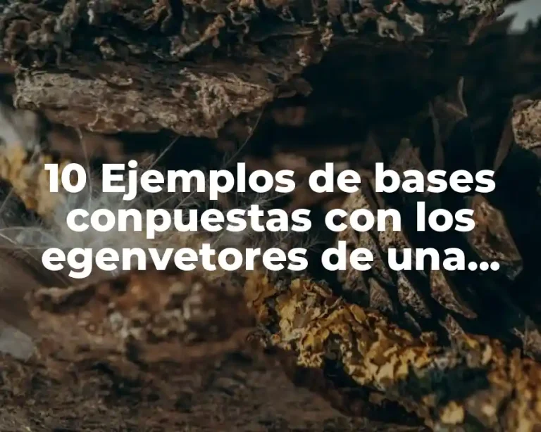 10 Ejemplos de bases conpuestas con los egenvetores de una matriz