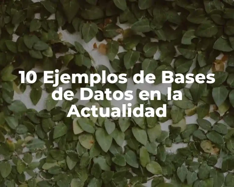 10 Ejemplos de Bases de Datos en la Actualidad