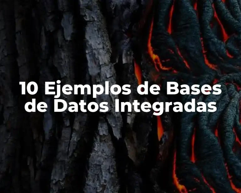 10 Ejemplos de Bases de Datos Integradas