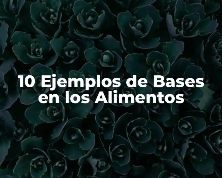 10 Ejemplos de Bases en los Alimentos