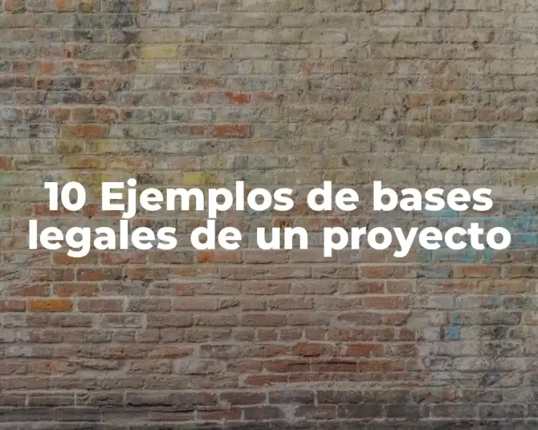 10 Ejemplos de bases legales de un proyecto