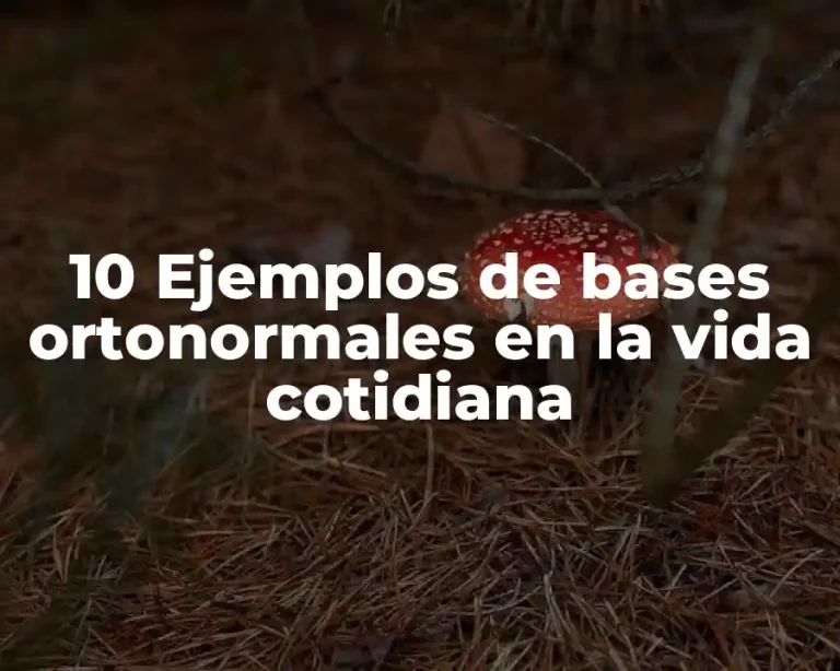 10 Ejemplos de bases ortonormales en la vida cotidiana